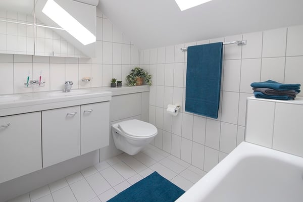 Aussergewöhnliches Wohnen über den Dächern von Goldach! 6