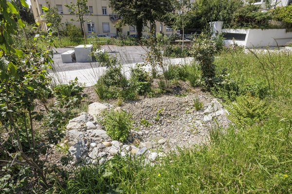 Fantastische Maisonettewohnung in St.Gallen 12