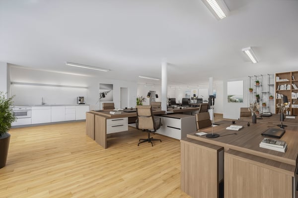 Raum für Visionen: Ihr zukünftiges Büro oder Praxis in St. Gallen - St. Fiden 2