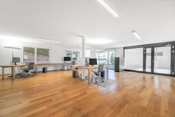 Raum für Visionen: Ihr zukünftiges Büro oder Praxis in St. Gallen - St. Fiden 7