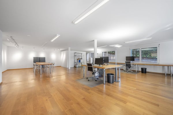 Raum für Visionen: Ihr zukünftiges Büro oder Praxis in St. Gallen - St. Fiden 4