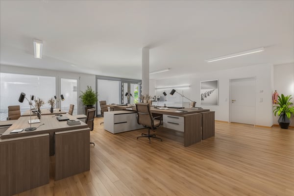 Raum für Visionen: Ihr zukünftiges Büro oder Praxis in St. Gallen - St. Fiden 3