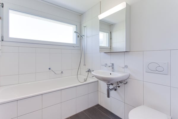 Grosszügige 1.5 Zimmer-Wohnung im Grünen 4