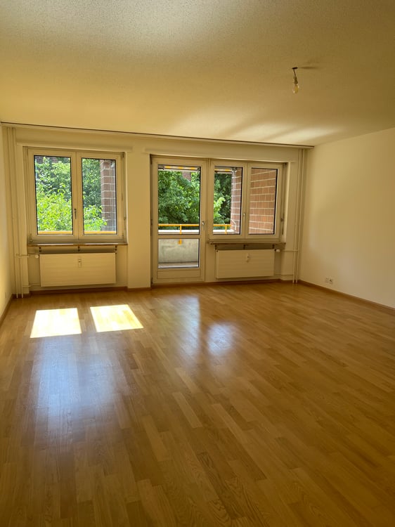 Helle Wohnung im ruhigen Zollweiden-Quartier mit Balkon 7