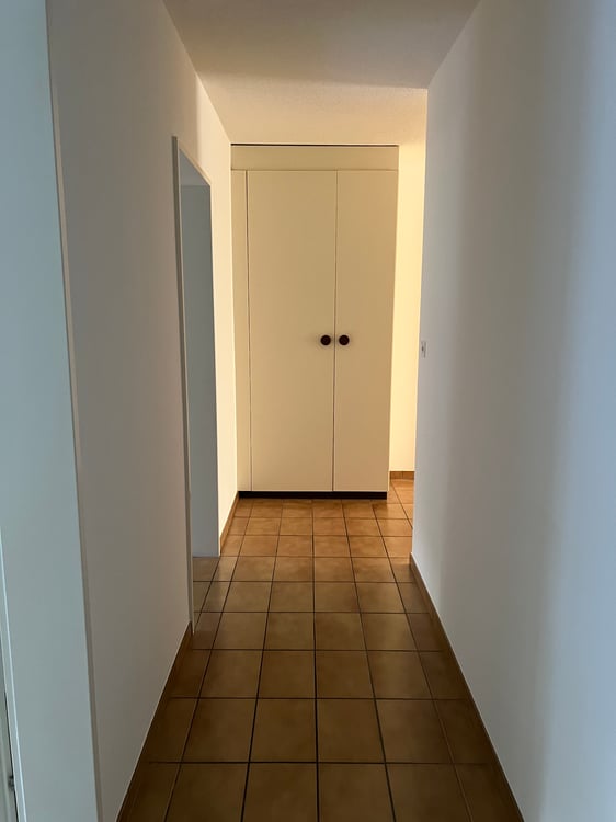 Helle Wohnung im ruhigen Zollweiden-Quartier mit Balkon 8