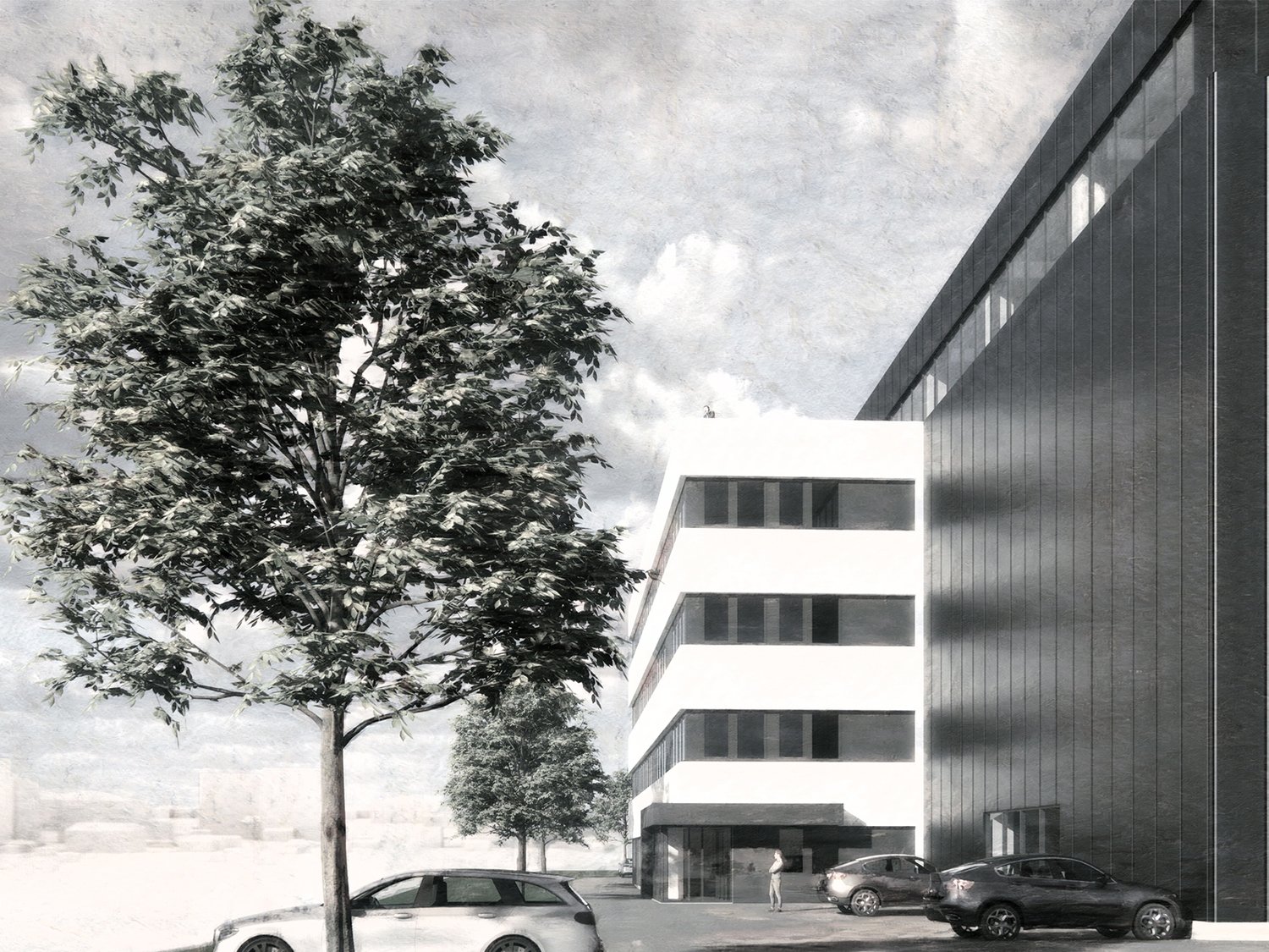 modern office building, two sections, white and black facade, cars parked in front, trees