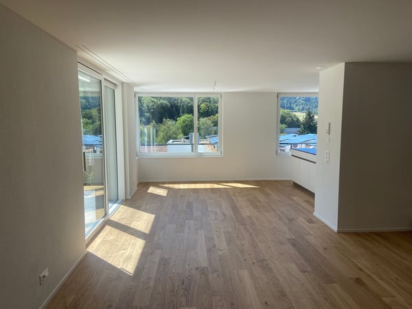 4.5-Zimmer-Doppeleinfamilienhaus an privilegierter Hanglage 9