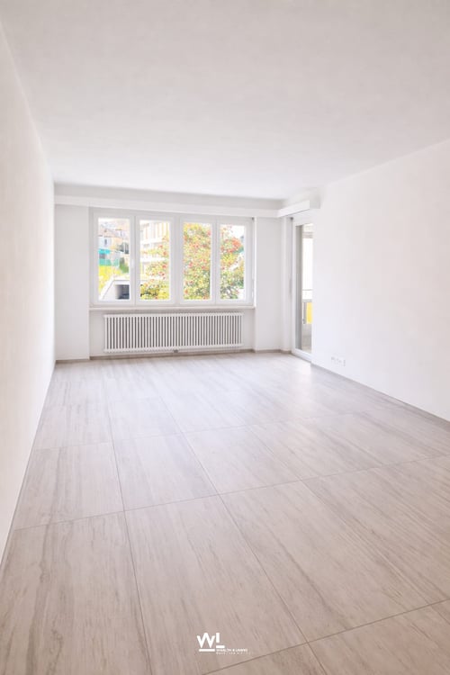 Grosszügige 2.5-Zimmer Ferienwohnung in Losone 1