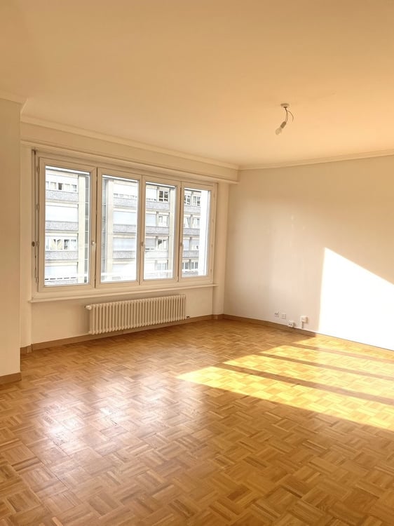 Servette : spacieux 1 pièces 5