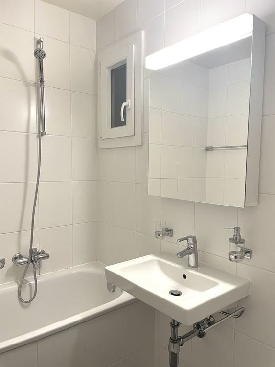 Quartier Hôpital - Plainpalais 8