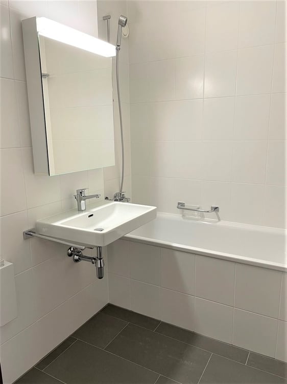 Jonction - Proche quartier des banque et du Rhône 8