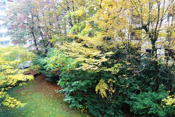 Champel - Quartier clame côté jardin 8