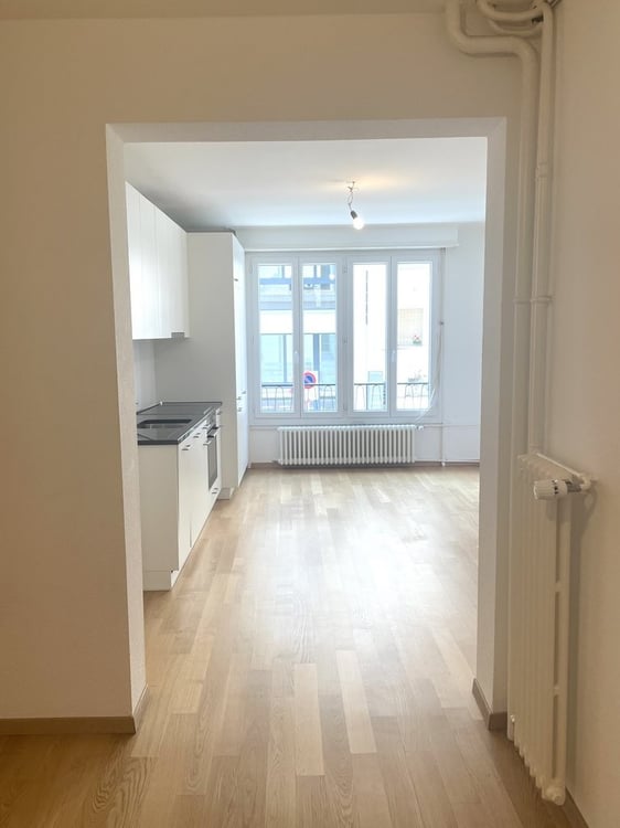 Appartement 1p près des Pâquis 3