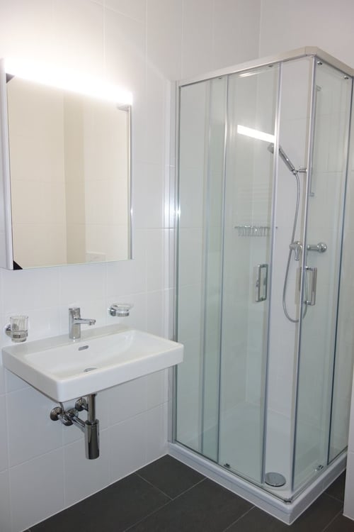 Eaux-Vives non loin du Lac 8