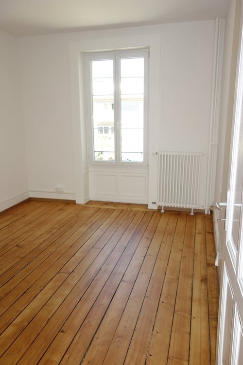 Eaux-Vives non loin du Lac 6