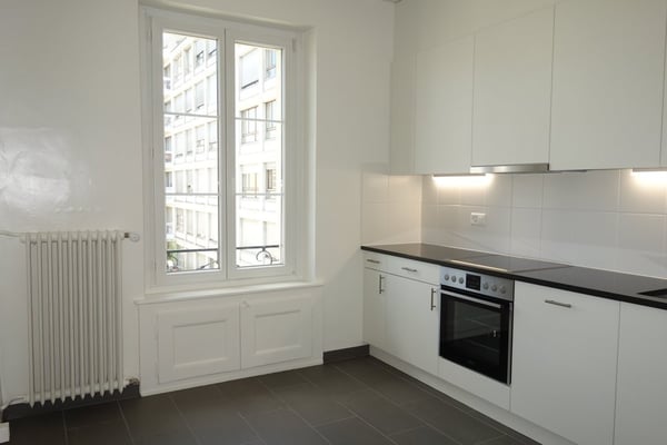 Eaux-Vives non loin du Lac 3