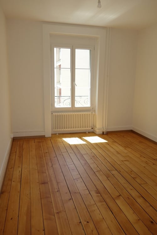 Eaux-Vives non loin du Lac 7