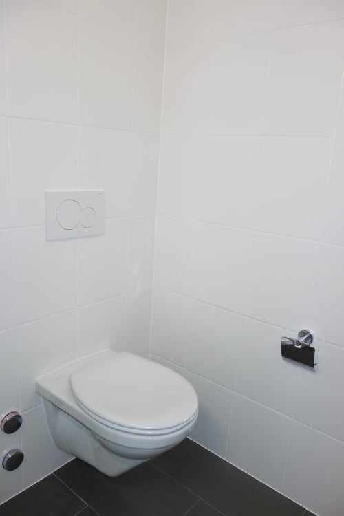 Eaux-Vives non loin du Lac 9