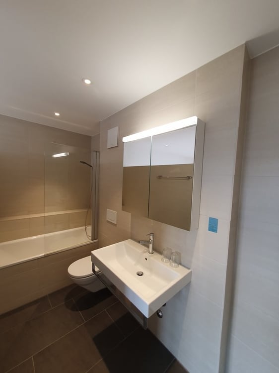 Moderne Wohnung mit grosser Dachterrasse 6