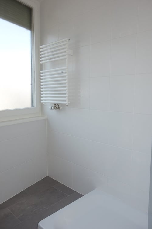 Quartier de Plainpalais 7