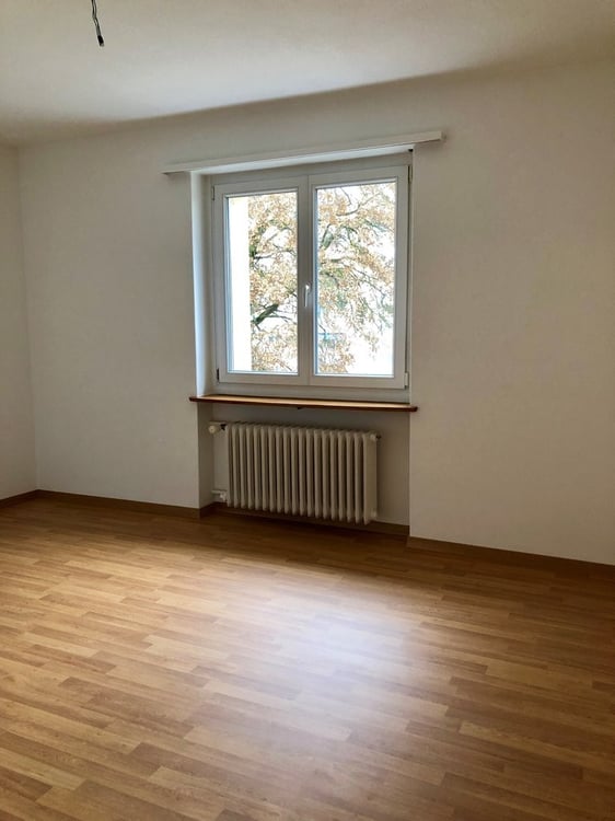 An sonniger Lage in Zürich Seebach 7