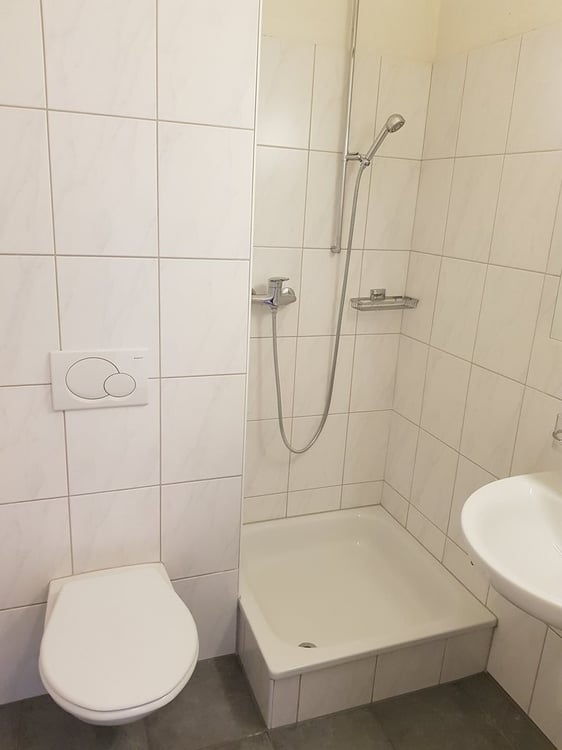 Sonnige Wohnung mitten im Trendquartier Wipkingen 3