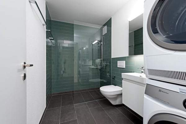 Top moderne Wohnung im Kreis 9, Zürich Albisrieden 4