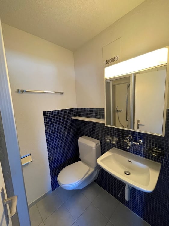 Grosszügige Dachwohnung in Zürich-Oerlikon 5