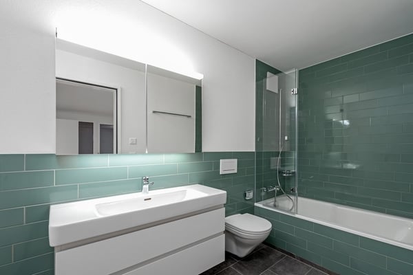 Top moderne Wohnung im Kreis 9, Zürich Albisrieden 8