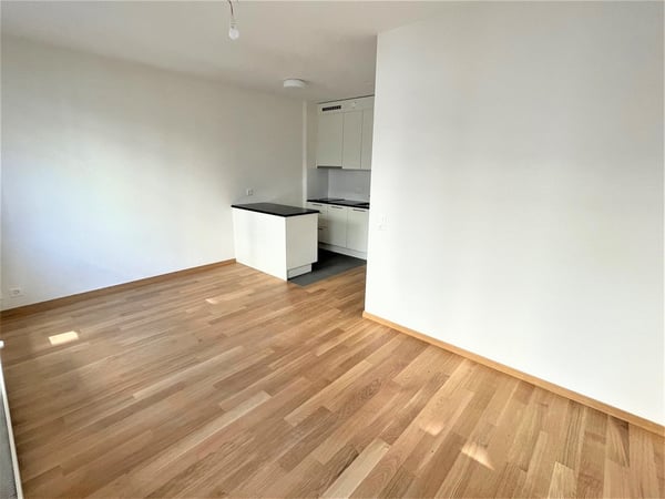Pâquis - studio moderne 5
