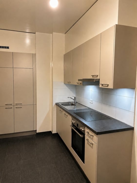 Proche rue de Carouge, quartier calme et agréable à vivre 3