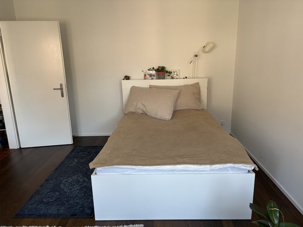 1-Zimmerwohnung, in wenigen Schritten vom Zürichsee entfernt 3