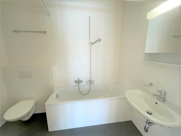 Appartement de 3p secteur Plainpalais 3