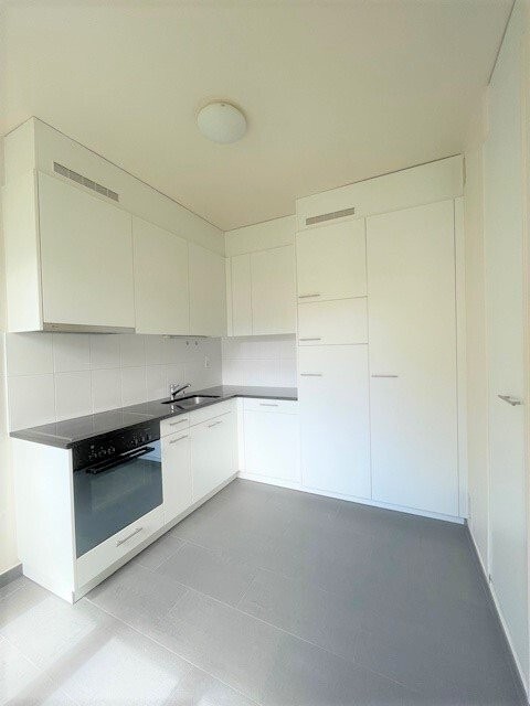 Appartement de 3p secteur Plainpalais 2