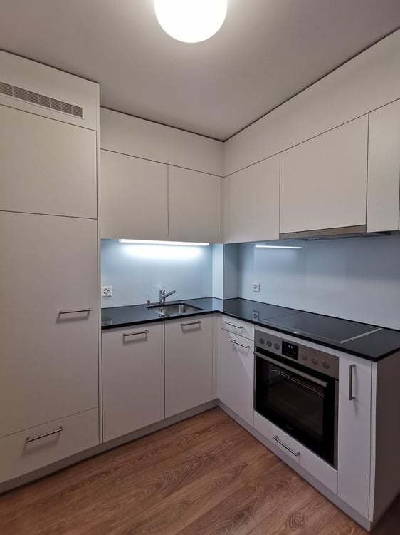 Attraktive Dachwohnung zu vermieten 3
