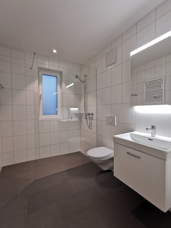 Attraktive Dachwohnung zu vermieten 4