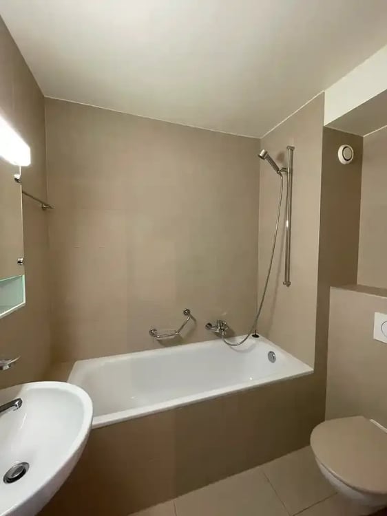 Proche rue de Carouge, quartier calme et agréable à vivre 3