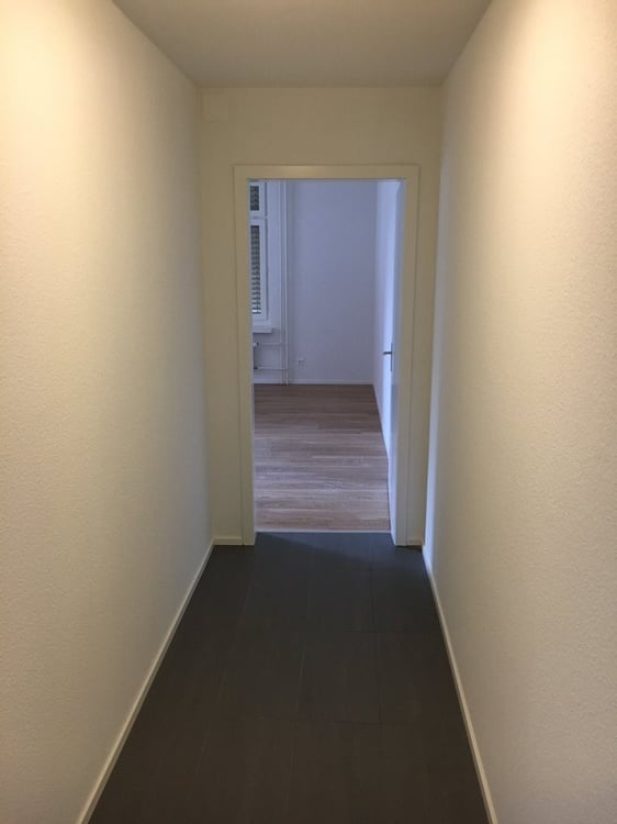Im Herzen von Zürich 5