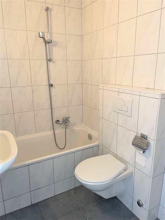 Eaux-Vives : bel appartement avec balcon 6