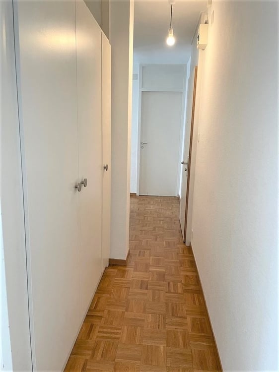 Eaux-Vives : bel appartement avec balcon 9