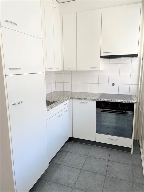 Eaux-Vives : bel appartement avec balcon 3