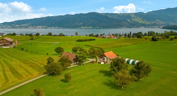 Grundstück mit bewilligtem  Umbauprojekt an privilegierter Lage 5