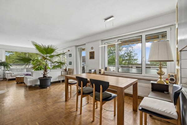Attika mit traumhafter Terrasse und Sicht über die Stadt und den See 2