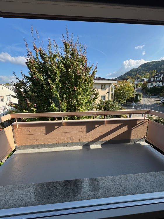 BEFRISTET: Charmante 1-Zimmer-Wohnung mit Balkon in Zürich-Albisrieden 3