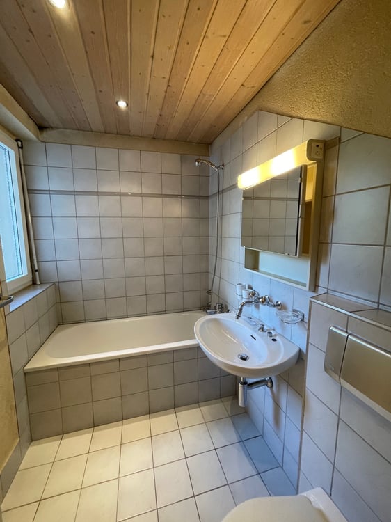 BEFRISTET: Charmante 1-Zimmer-Wohnung mit Balkon in Zürich-Albisrieden 3