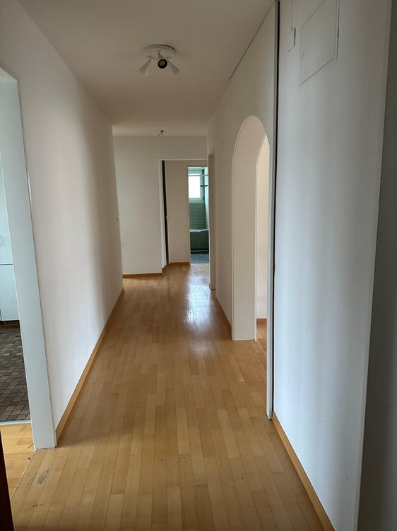Attraktive Attikawohnung mit Blick ins Grüne 3