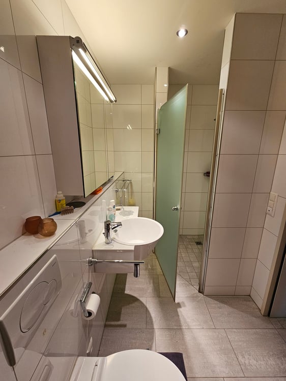 Ihr neues Zuhause beim Uetliberg 11