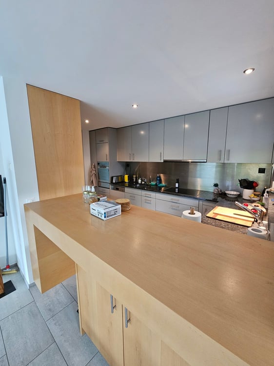 Ihr neues Zuhause beim Uetliberg 7