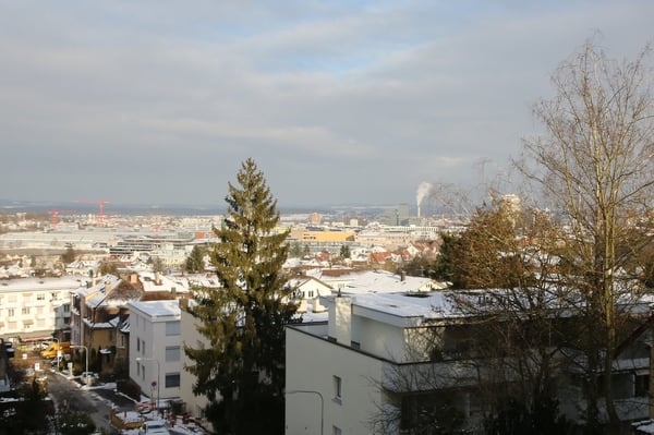 Charmante 1-Zimmerwohnung mit Blick auf Zürich 9