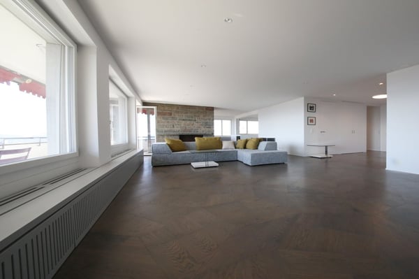 Liebhaberobjekt - 5 1/2-Zimmer-Wohnung mit Terrasse und Weitsicht über Zürich, See und Berger 2